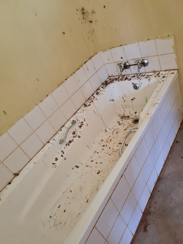 A grubby leaf-strewn bathtub in a rustic bush campsite bathroom