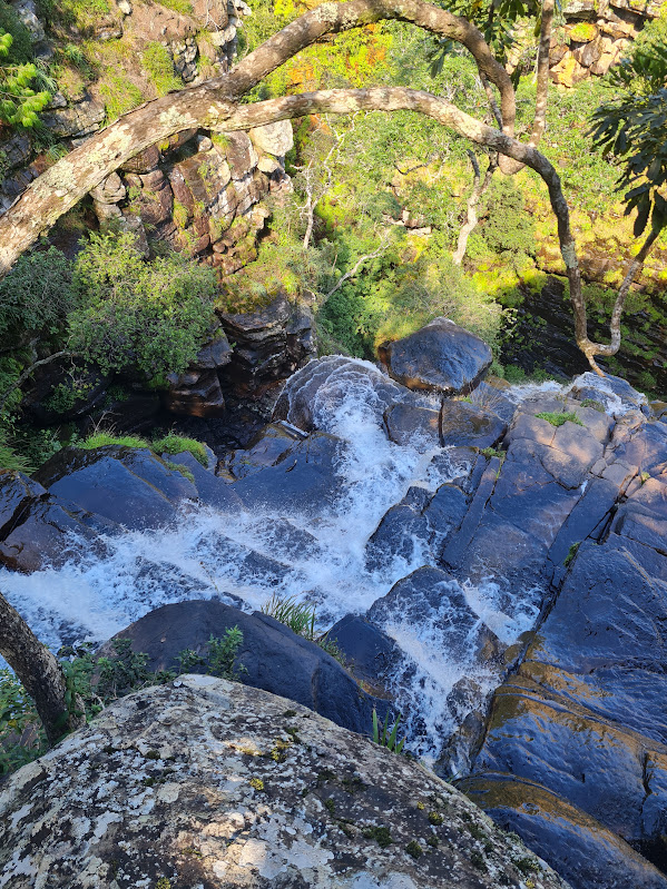 Looking down onto a waterfall tumbling over dark rocks in the Panorama Route bush